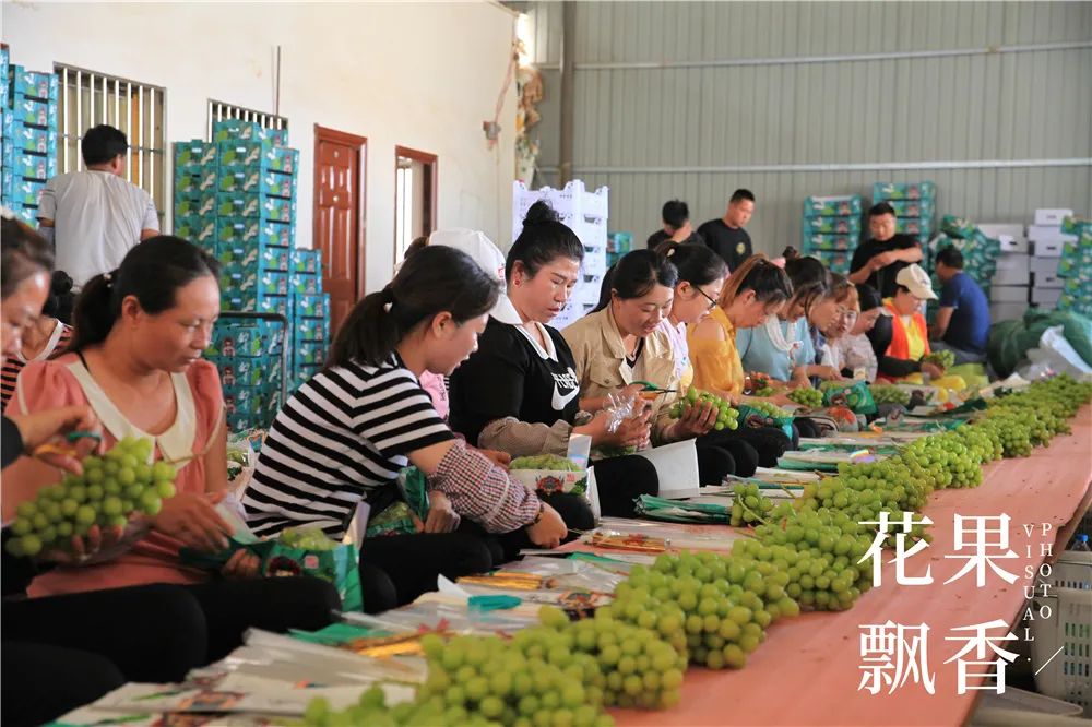 一位采购经理人的经验总结,一个采购员的真实感言