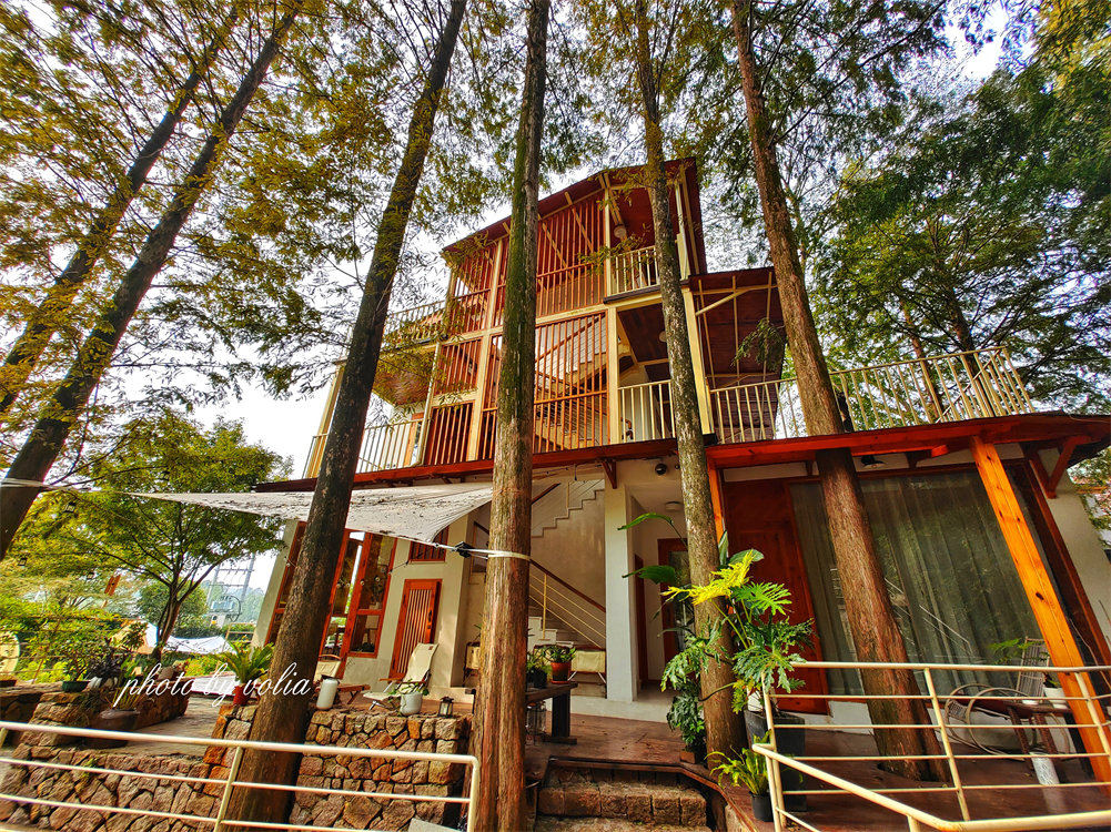 黑胶·旅人·酒|莫干山的月亮是橙色的