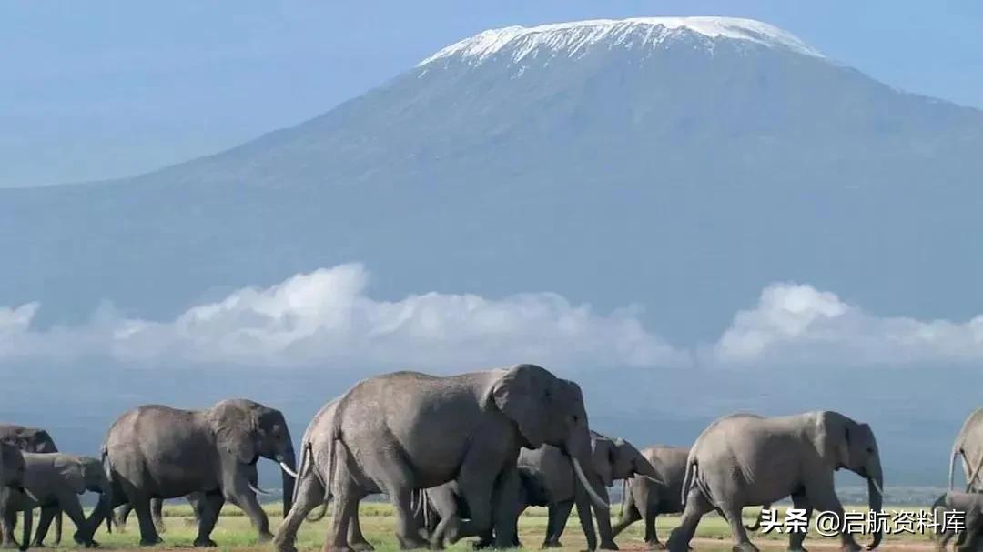 bbc纪录片life鸟类,bbc纪录片生命life7集