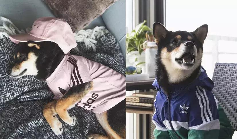 gucci和supreme联名马丁靴,guccisupreme鞋子