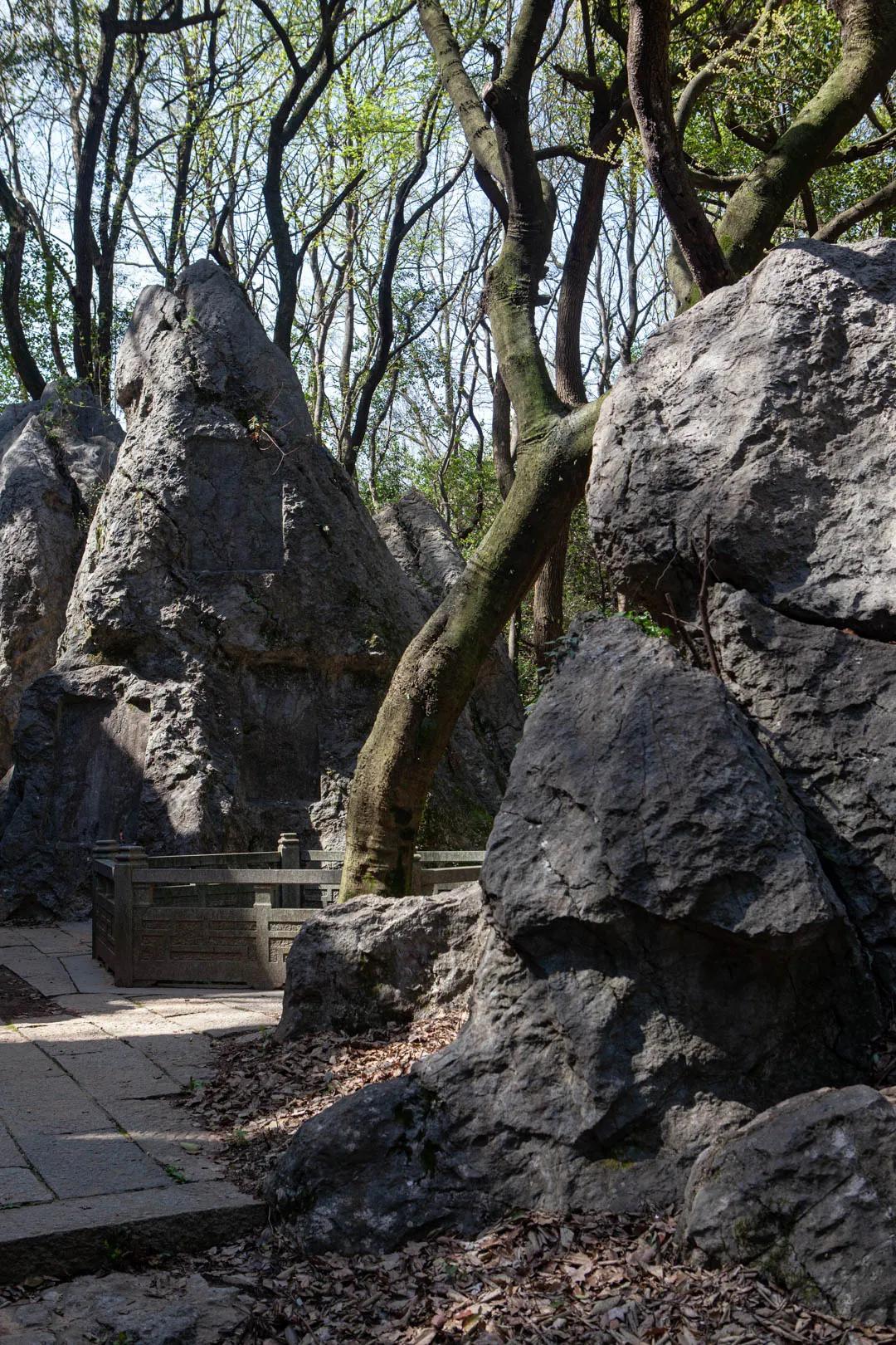 杭州凤凰山爬山最佳路线图,杭州百寿山景区