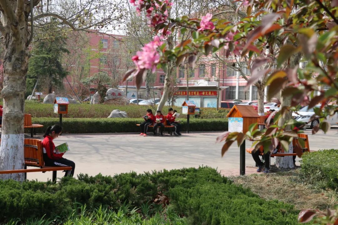 课后服务提质增效|莒县二小：“经典诵读+”，为“正雅”少年培根铸魂