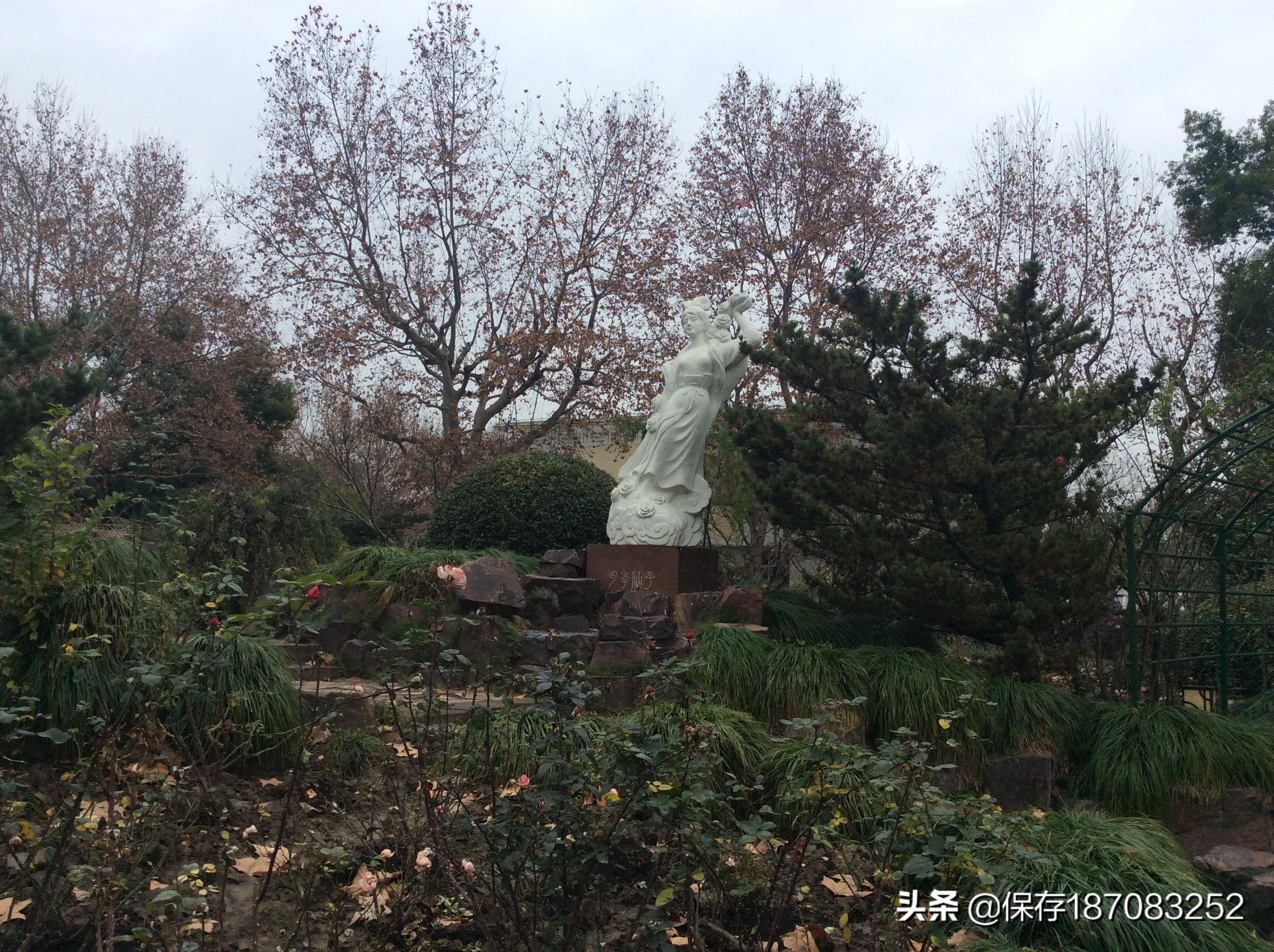 上海普陀山公园,普陀区长风公园在哪