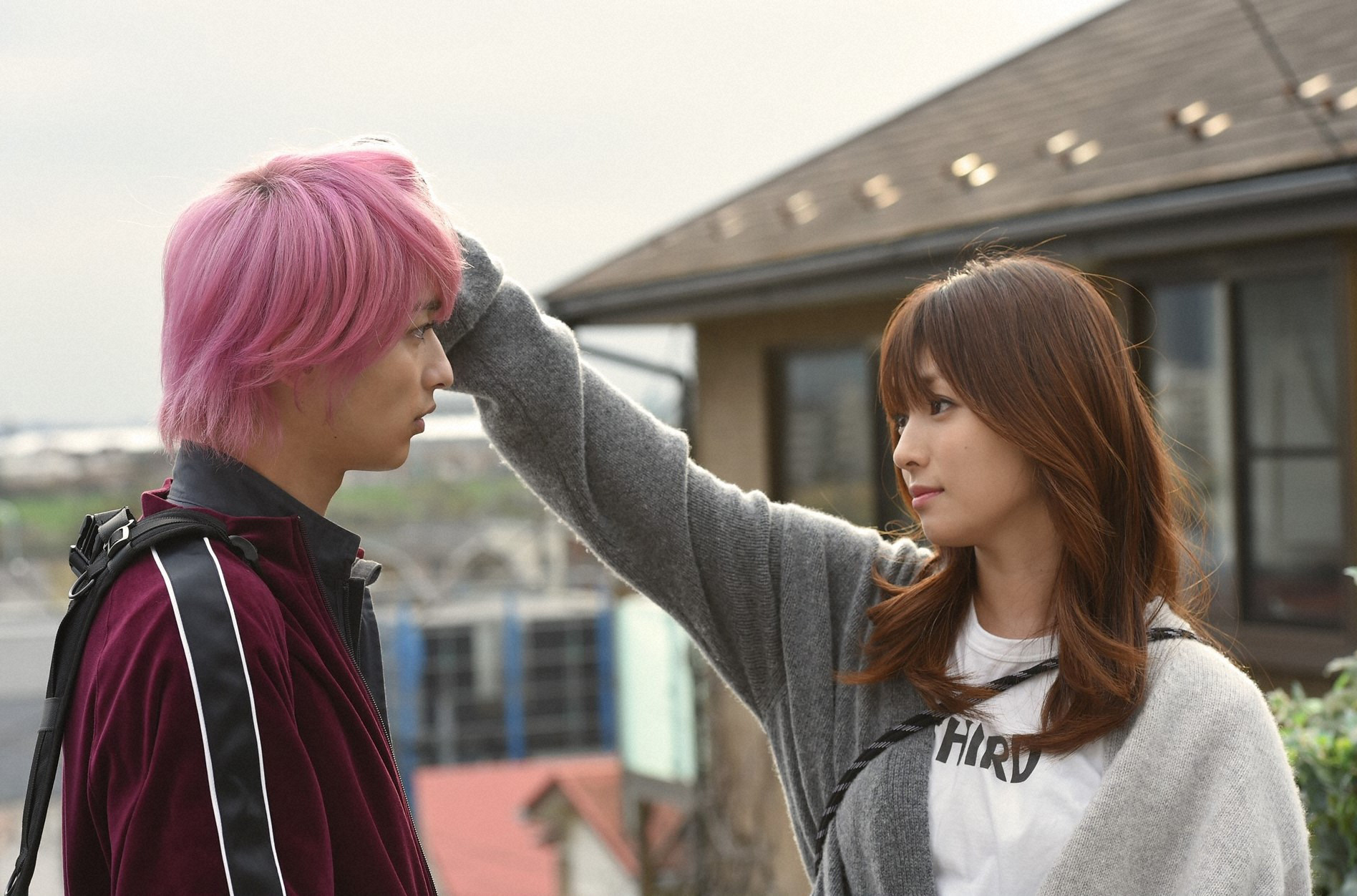 14岁出道的钝感美人，最近宣布要休息一下