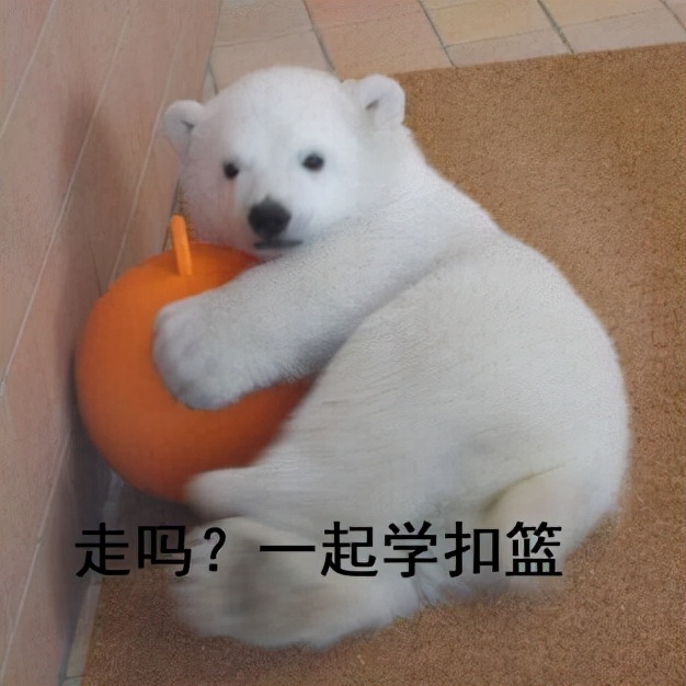 弹跳训练涉及的板块,弹跳训练计划之周一