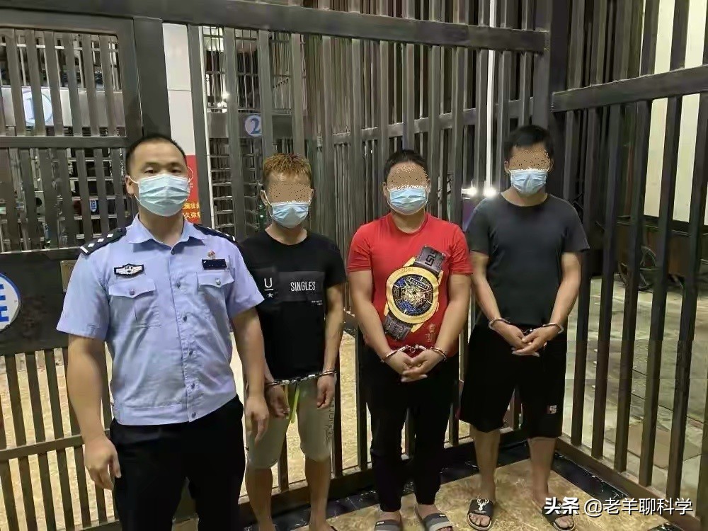 三男子猎捕芝麻剑被刑拘,3男子猎捕芝麻剑被刑拘
