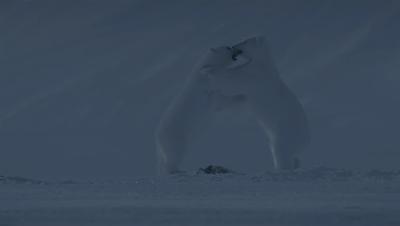 豆瓣netflix电影,bbc地球奇观纪录片