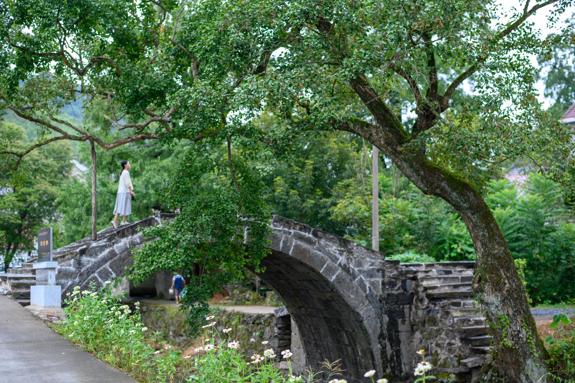 安徽宁国有哪些旅游景点,安徽宁国旅游必去十大景点有哪些