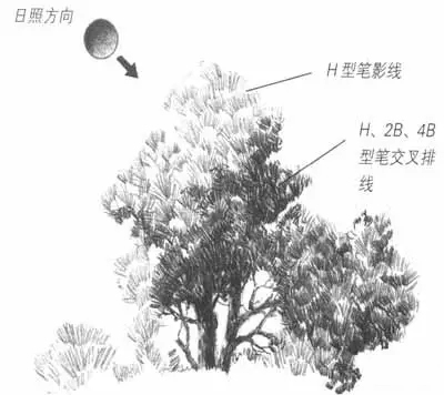 速写风景画入门教程,风景速写无调子图文