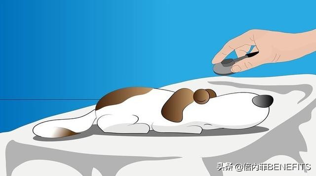 怎么知道宠物误食也没有吐完,宠物误食毒物急救方法