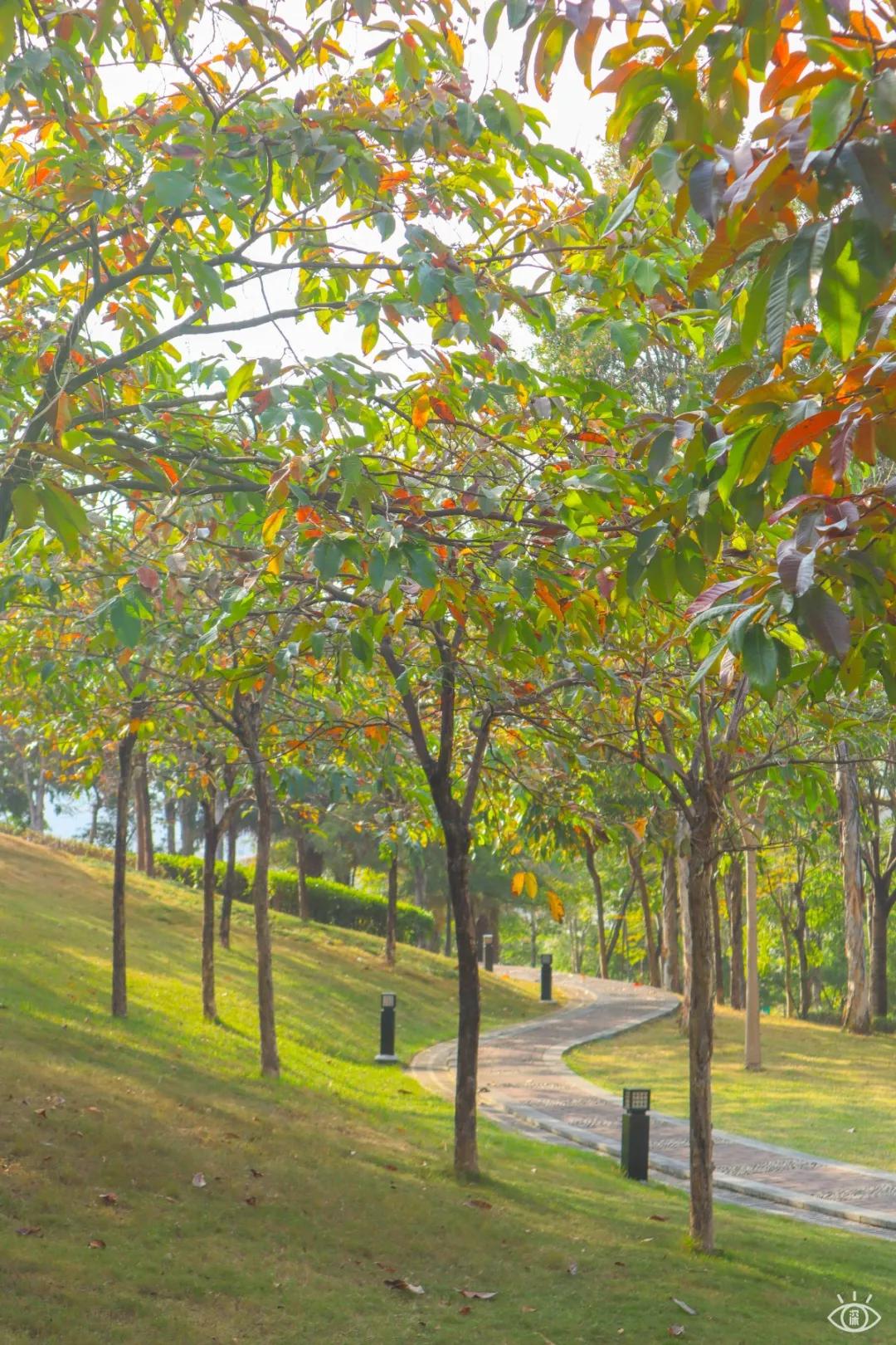 深圳儿童乐园要预约吗,深圳儿童乐园室内免费游乐场