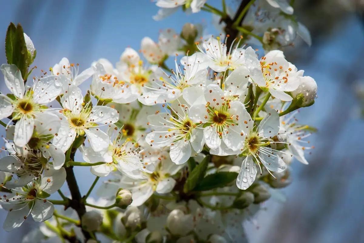 一段感情让你变得自卑又自负,因为自卑所以爱和伤害都是加倍的