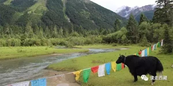 米林最神秘景点,米林十大景点