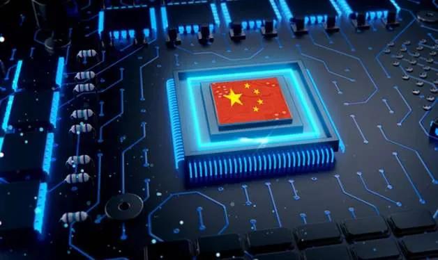 本土猪灭绝背后的故事,中国土猪要灭绝吗