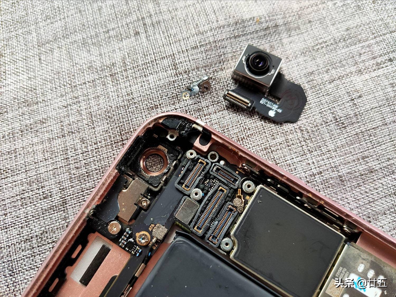 iphone6s满血复活,苹果6sp可以去官网换新机吗