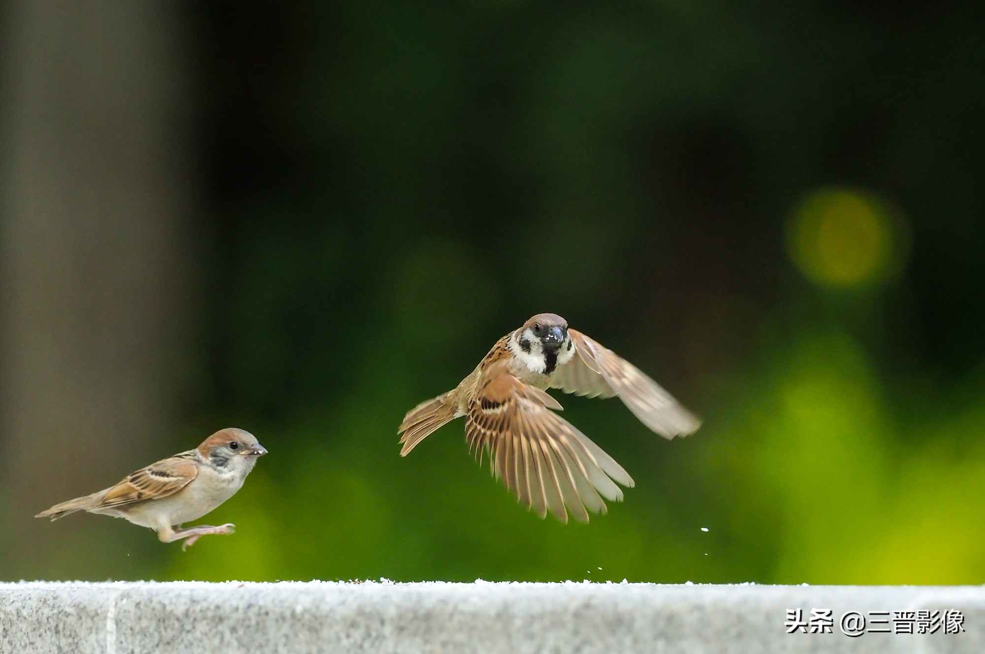 一款很好用的相机,不好看但又很好用的相机