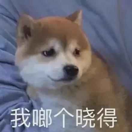 朋友圈广告成功之处,朋友圈的广告立即秒杀可信吗