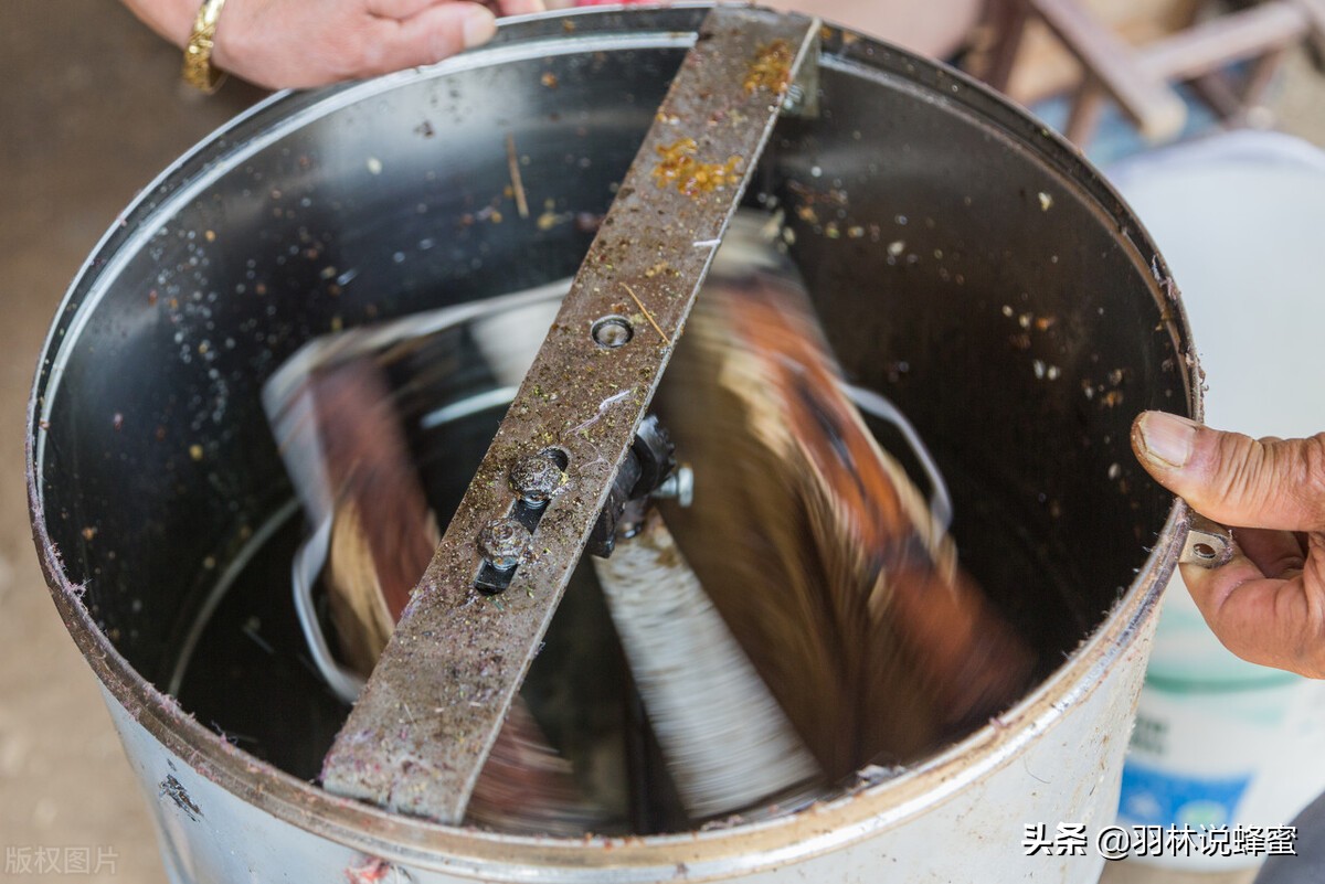 蜂箱里面的蜂蜜是怎么取出来的,蜂蜜是什么方法引进蜂箱的