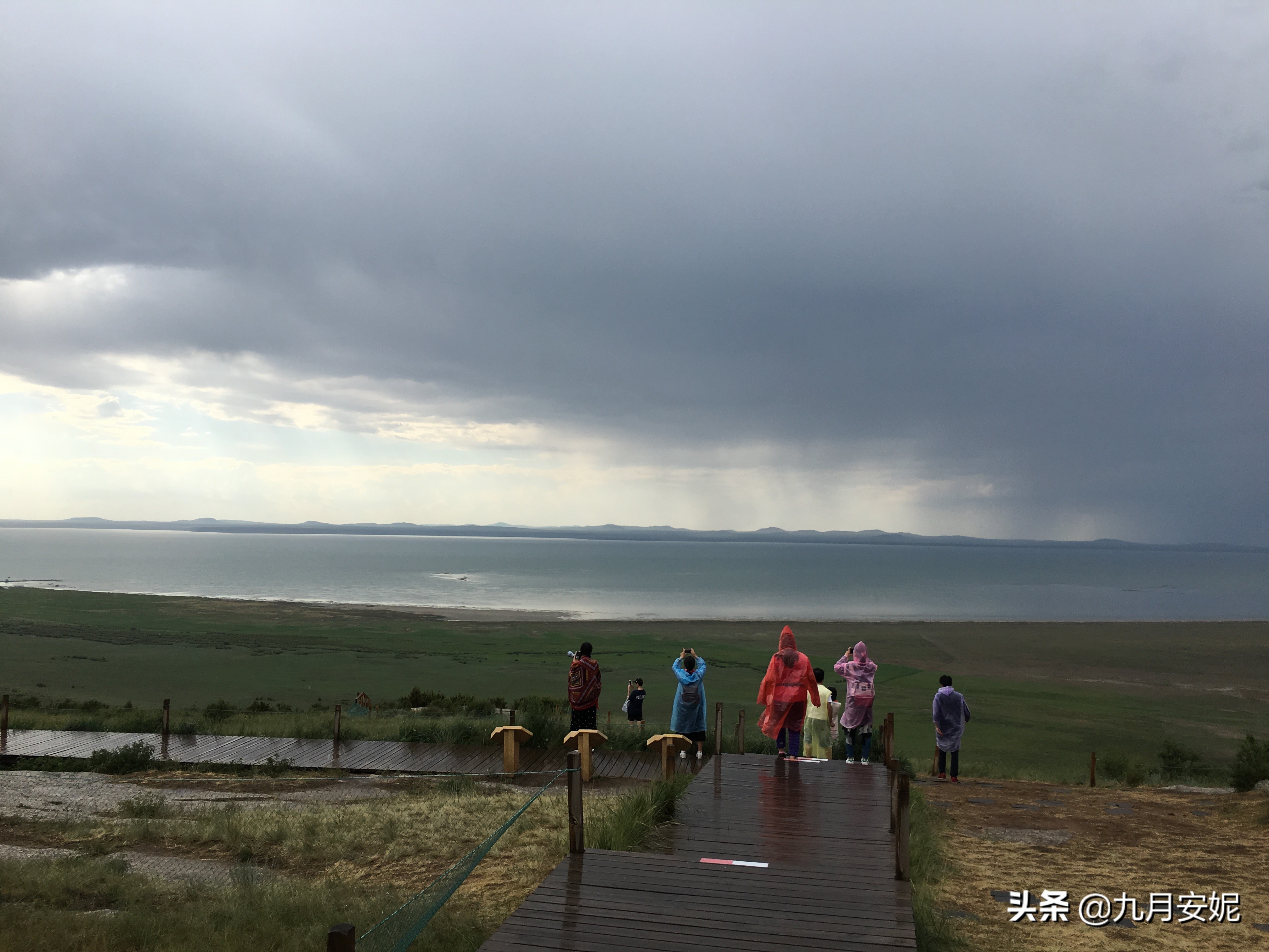 去达里湖看华子鱼洄游,达里诺尔湖华子鱼洄游在哪里