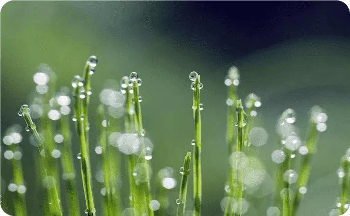 与青春期的孩子相处的正确方法,与孩子相处的技巧和方法