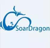 中国企业出海名单,游戏出海企业排名