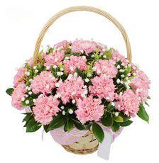 教师节给老师送什么花比较合适,教师节送花是每个老师都送吗