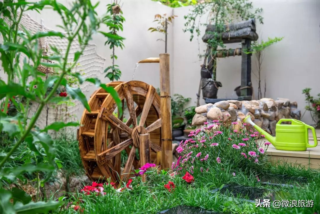 白鹭湾的“选美大赛”，谁是你心中最美的“姑娘”