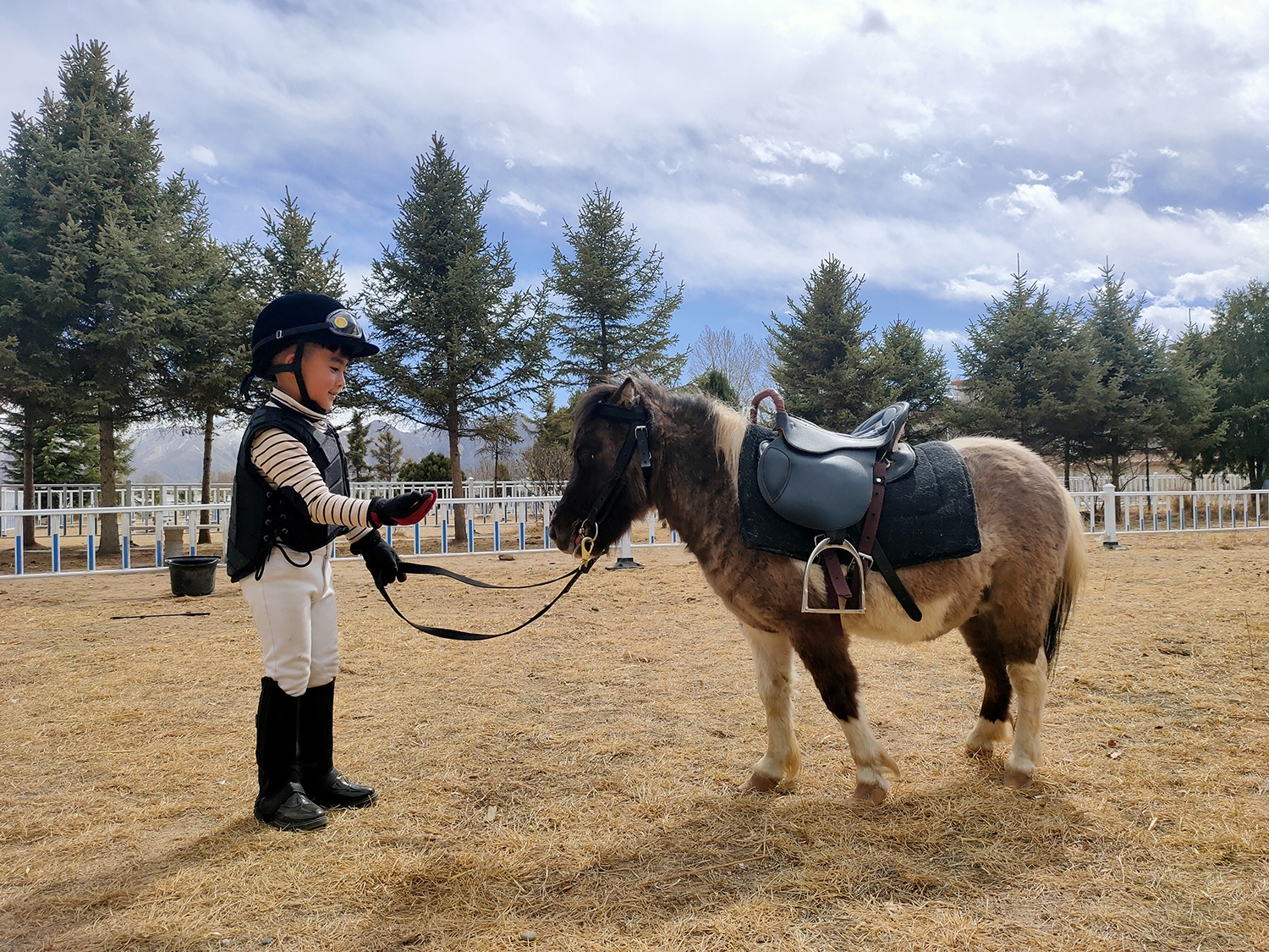 民族传统体育进景区,民族体育活动项目