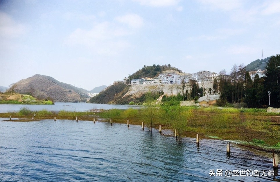 钓小白条要掌握哪些技巧,钓白条的正确方法和技巧