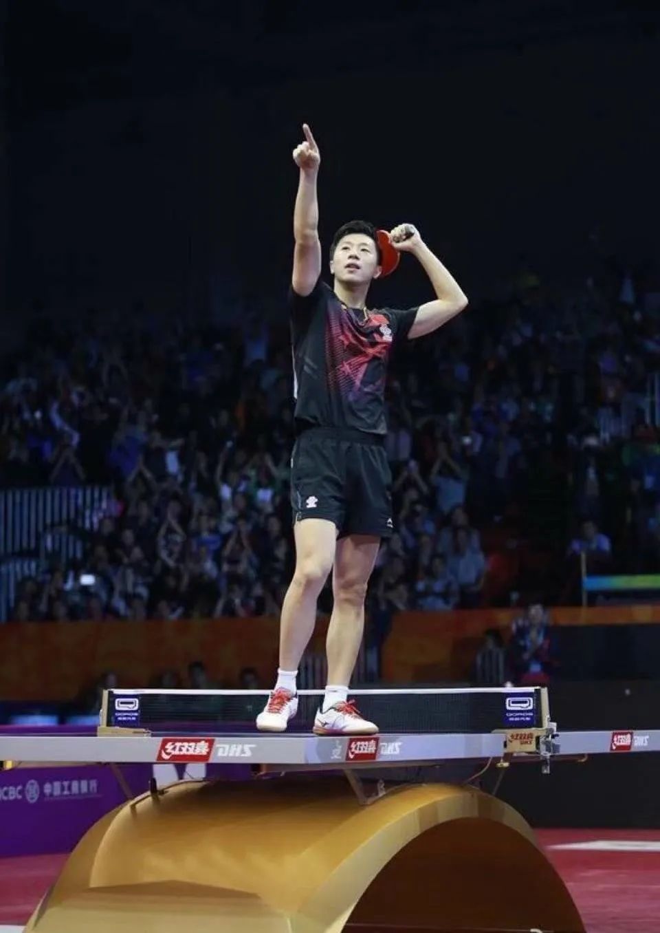 人类高质量男性,人类高质量男性羊绒