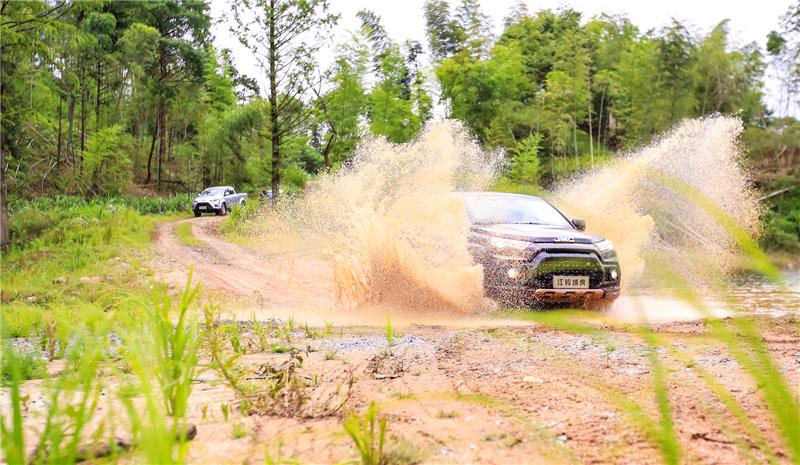 域虎最新款,域虎19款顶配