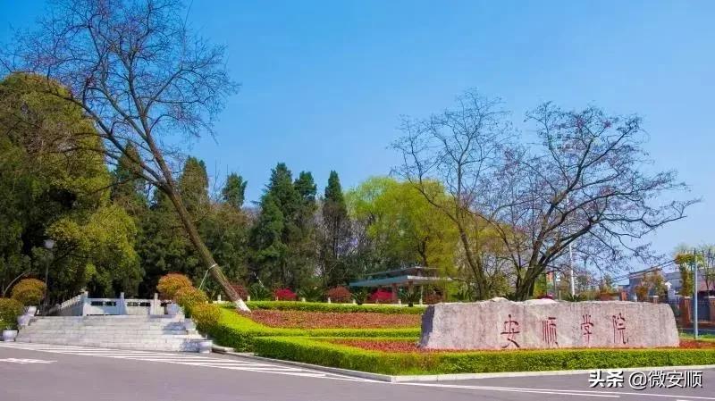 你好！我叫安顺，这是我2021最新简历