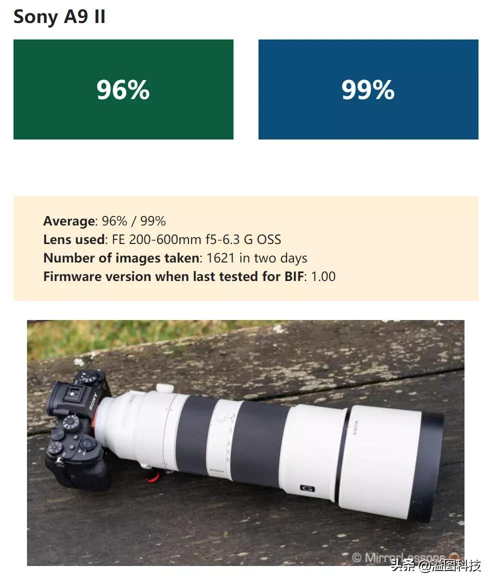 微单拍鸟最好的相机,微单拍人像哪款相机好