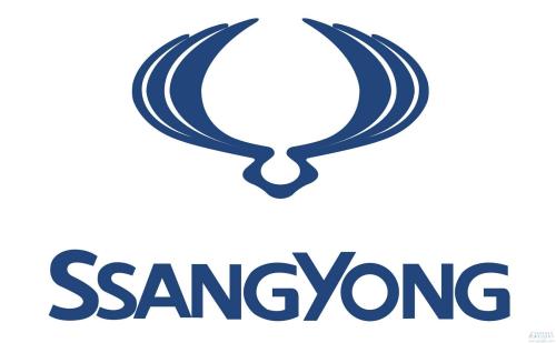 双龙汽车怎么样了,双龙汽车破产保护