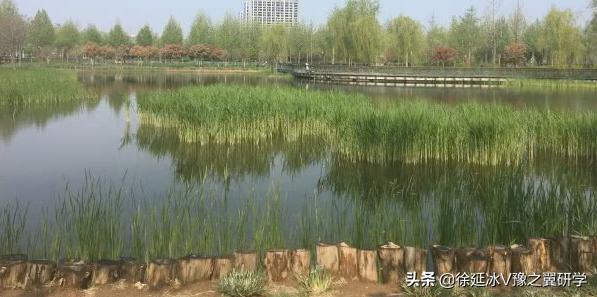 不出郑州旅游攻略,郑州五一游玩公园推荐