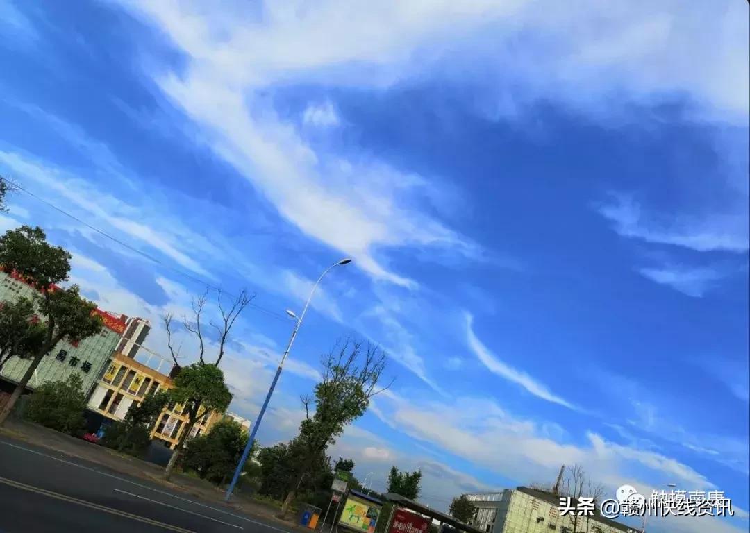 南康区为什么不是赣州中心城区,南康蓝康