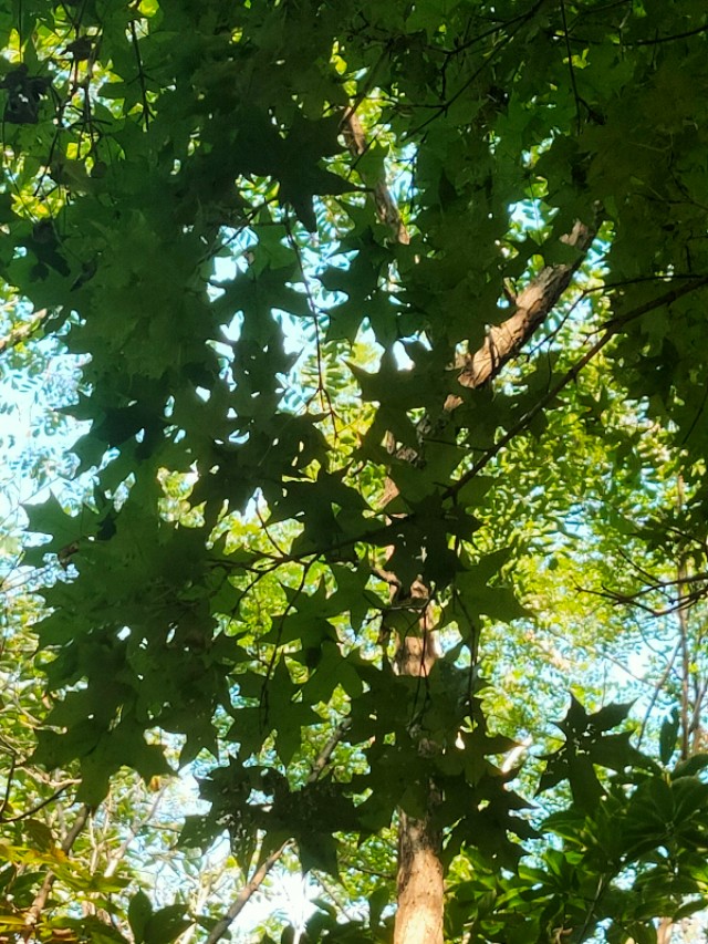 大连安波鸿缘温泉山庄,大连安波温泉民宿