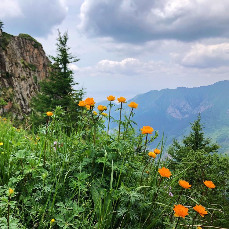 小五台山景区游玩攻略,小五台山快乐一日游