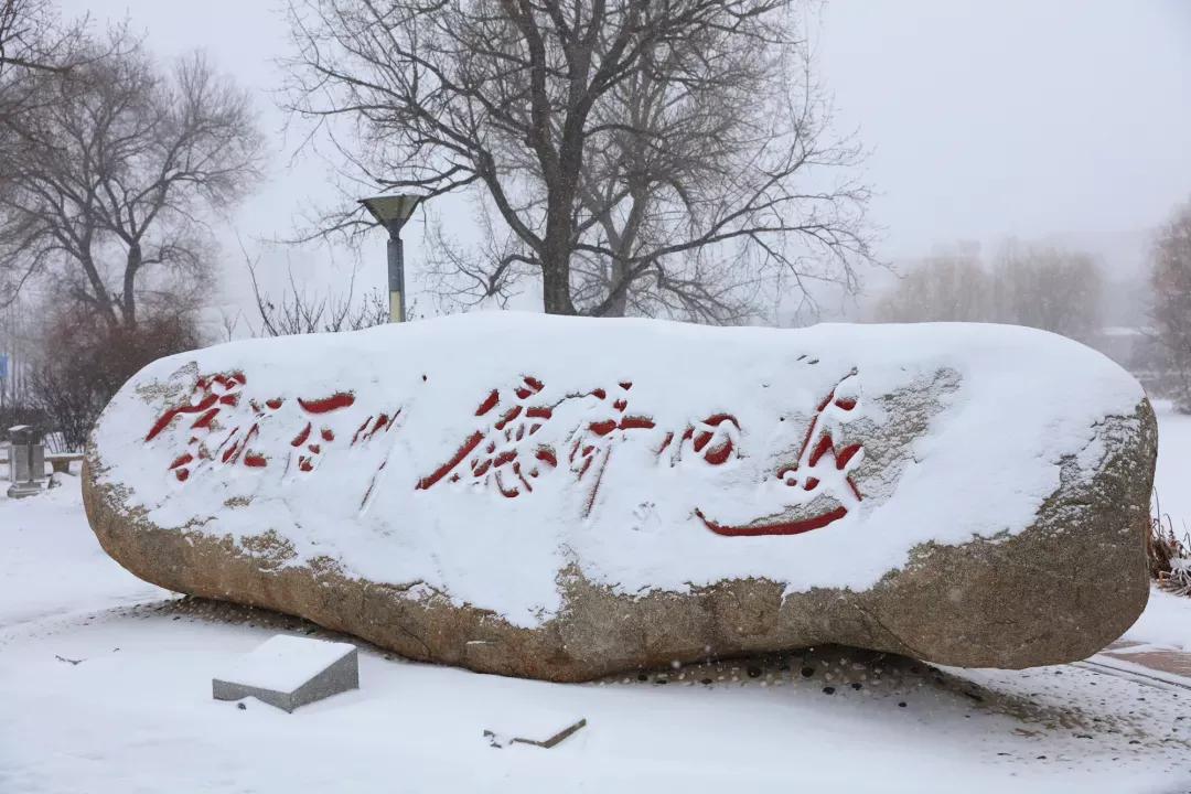 大连海事大学和辽宁省哪个级别高,大连海事大学辽宁省大学排名