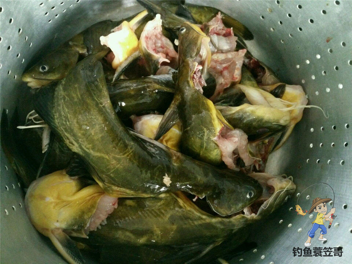 溪流鱼怎么样做才好吃,溪流鱼越腥越好吗