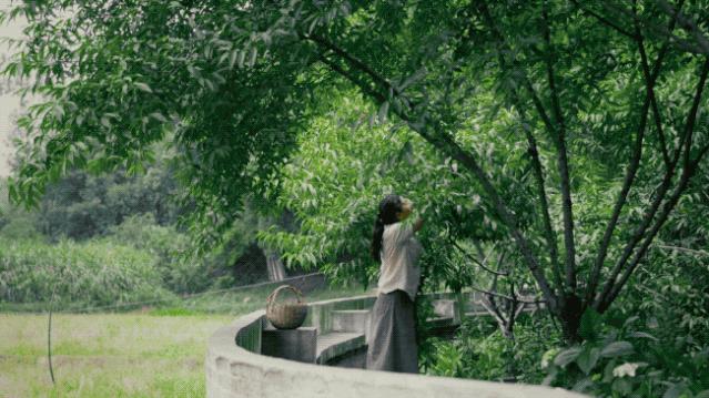 中国人的骨子里喜欢的豪宅,人骨子里喜欢的豪宅