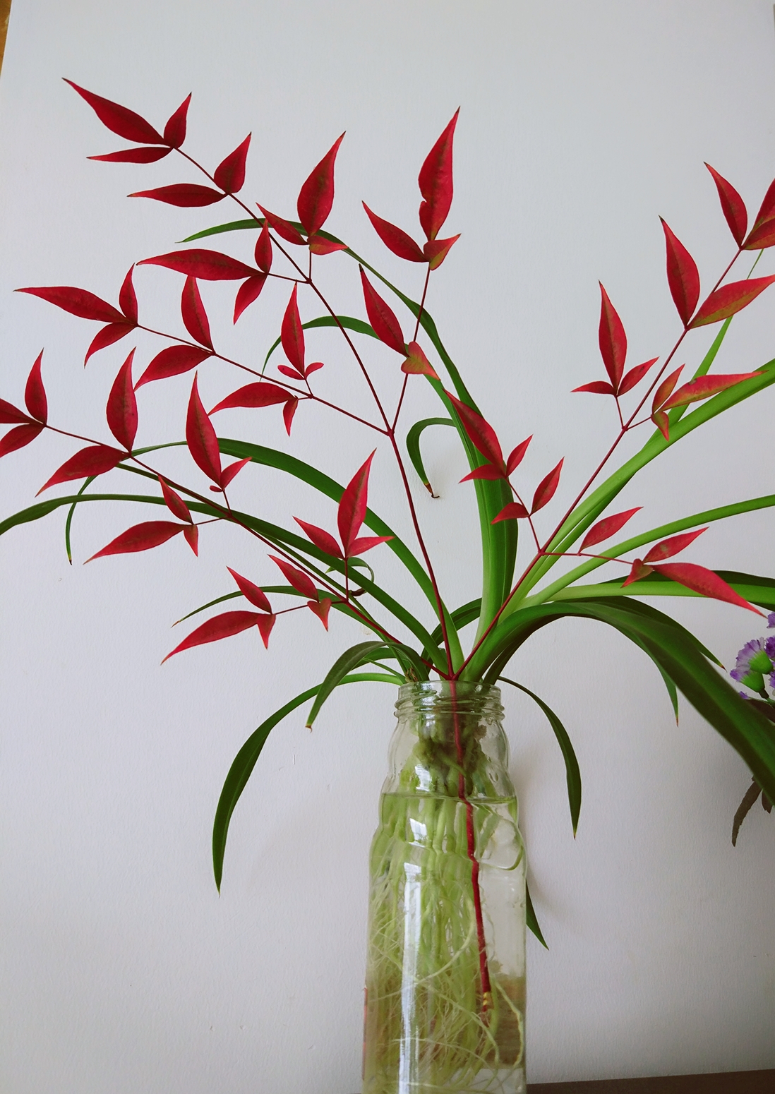 清凉初夏，做针线消散半日