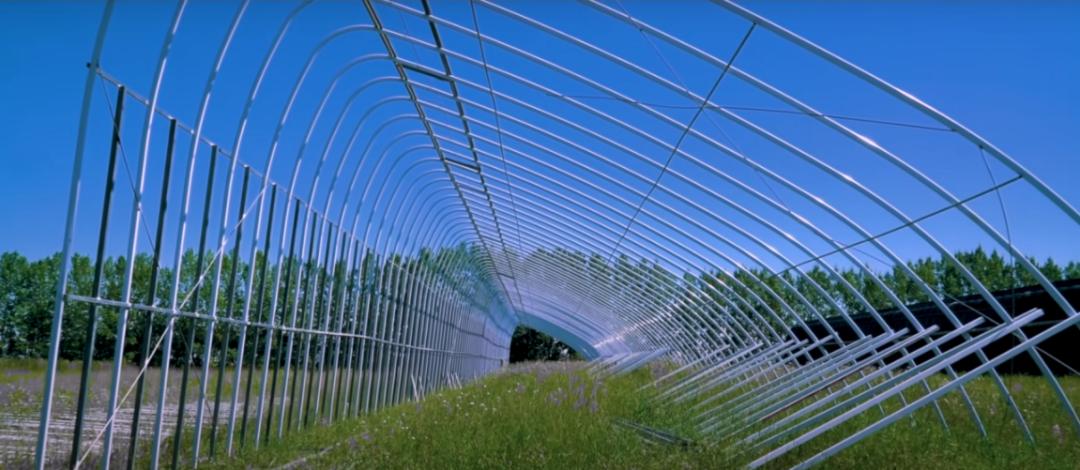 董菜菜抖音,董菜菜最新视频