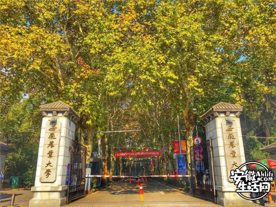 在你眼中的安徽人怎么样,合肥一座满是故事的城市