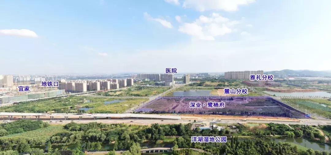 劲爆:中海“双响炮”,摇中2个12600地块!10品牌房企抢滩洋湖