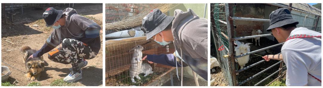 记我的一次旅行600字记叙文,记一次游玩经历600字