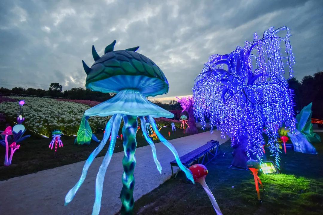 成都三圣乡恐龙主题公园,三圣乡恐龙主题公园地址