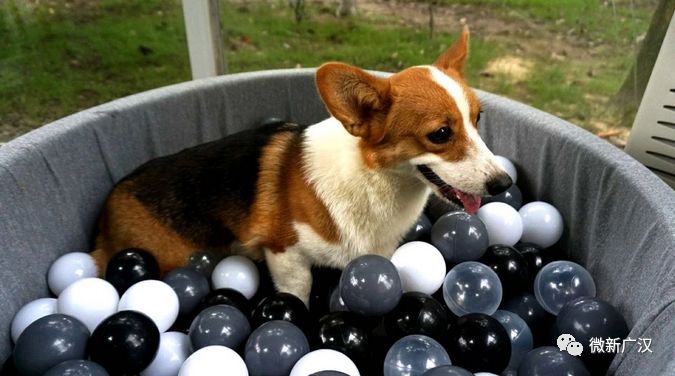 游记|来和兴吧!这里的美景美食每一样都超skr~