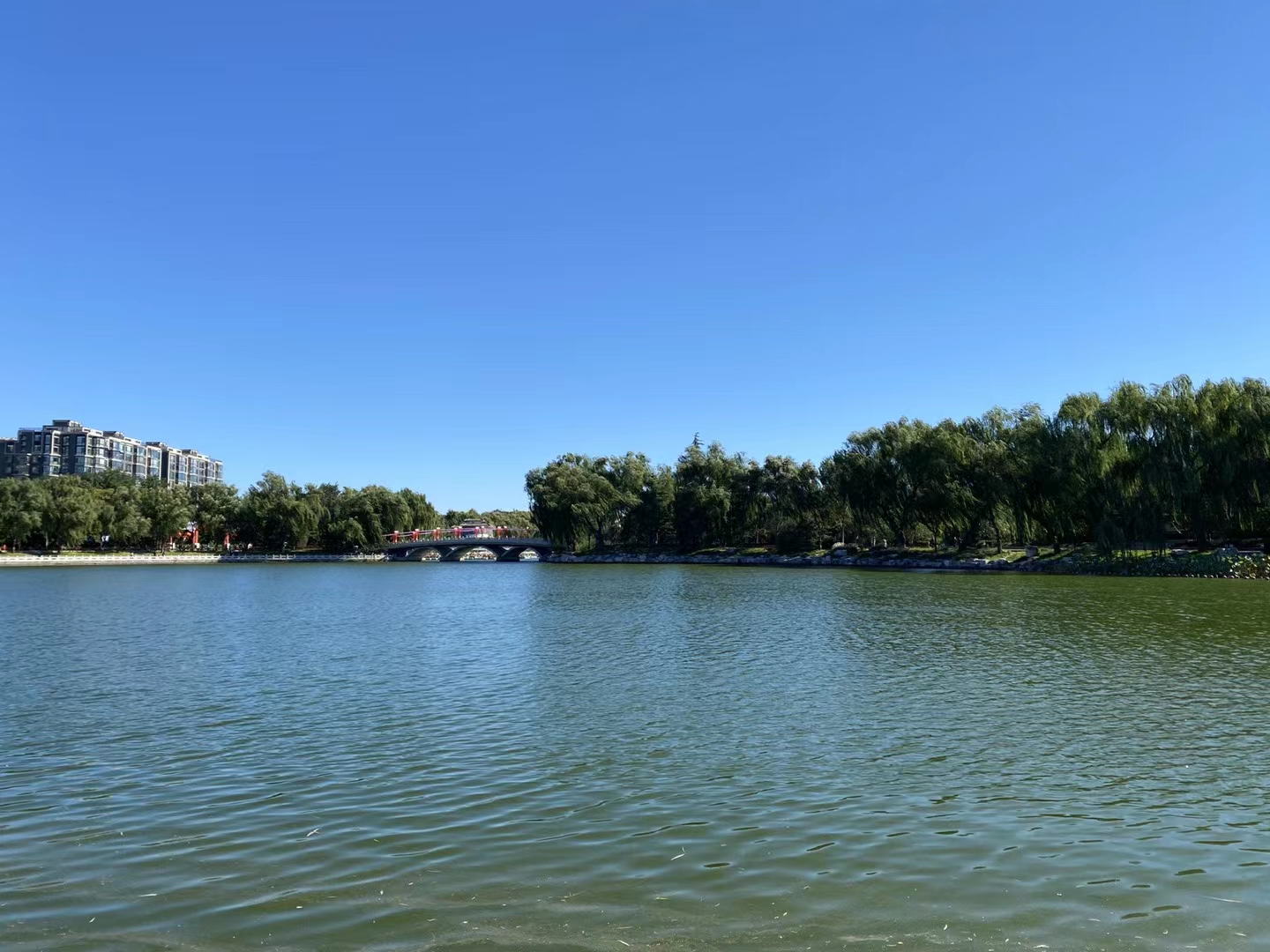 疫情反复防疫必须一步到位,疫情反复要不要家访