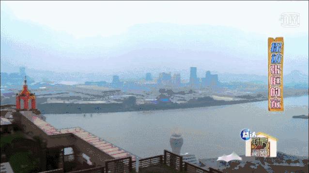 张庭旗下微商现状,张庭经营微商赚了多少钱